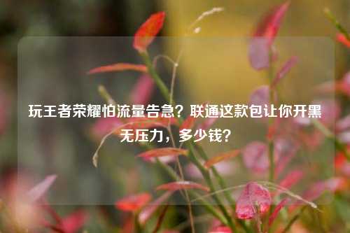玩王者荣耀怕流量告急?联通这款包让你开黑无压力,多少钱?